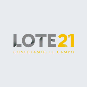 Lote 21